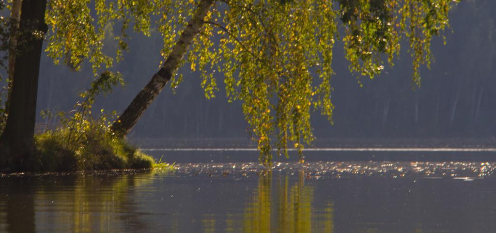 Вилла The Hideaway Zeliv Экстерьер фото